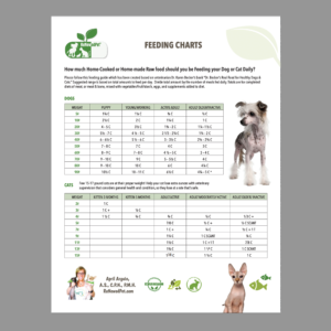 Homemade Dog Food Serving Size Chart: Perfect Portions