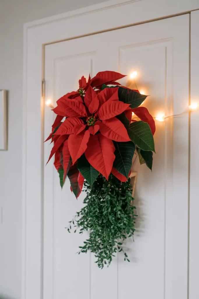 Poinsettia Accent Door
