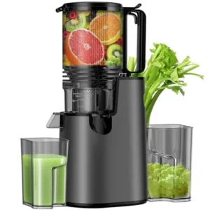 10 Best Juicers For Kiwi Juice & Healthy Extracts