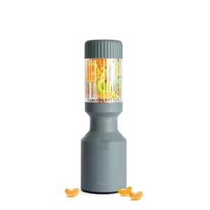 Beast Blender Mini vs Regular: A Comprehensive Comparison