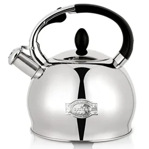 Stainless Steel Teapot Kettle Guide: Reliable Whistling and Brewing