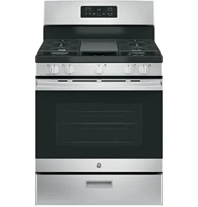 10 Best Professional Gas Range