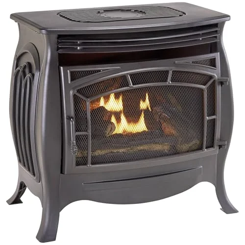 10 Best Gas Stove To Buy