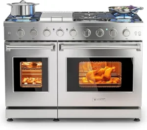 10 Best Double Oven Gas Range