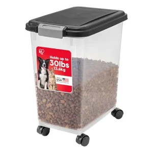 10 Best Foods For Food Storage