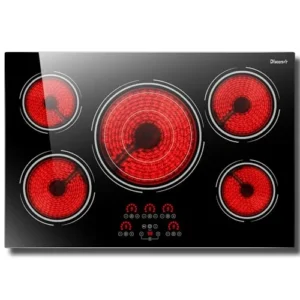 10 Best Electric Stove tops