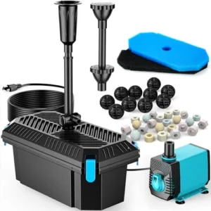 Essential Filtration Systems For Healthy Koi Ponds